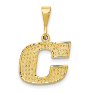 14k Yellow Gold Polished Texture Finish Letter C Initial Charm Pendant