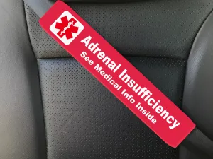Addison's Disease - Adrenal Insufficiency - 2 Pack Seat Belt Covers