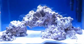 CORAL ROCK LARGE per kg
