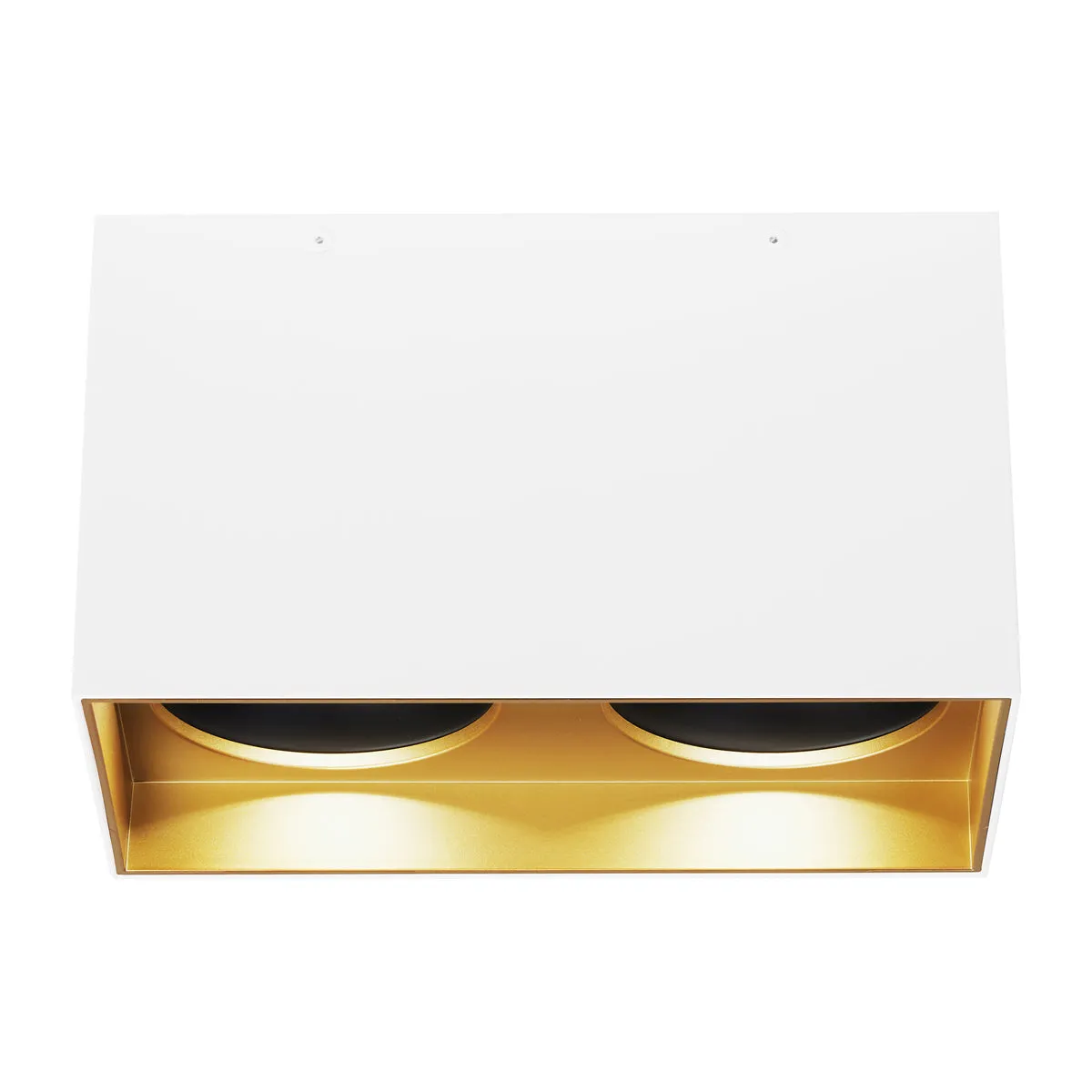 Exo 6" Dual Flush Mount