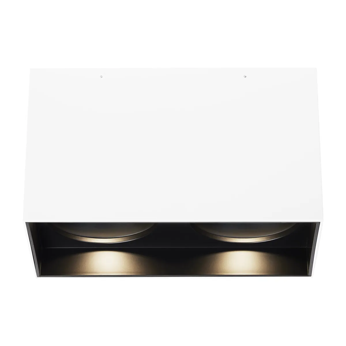 Exo 6" Dual Flush Mount