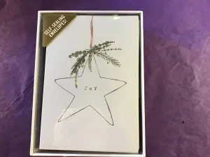 Holiday cards - shining star